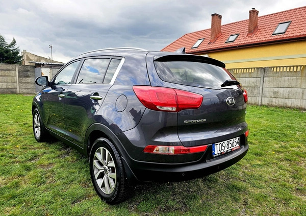 Kia Sportage cena 52900 przebieg: 176000, rok produkcji 2015 z Nowogrodziec małe 529